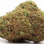 fruity jack buds