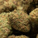 fruity jack buds sachet