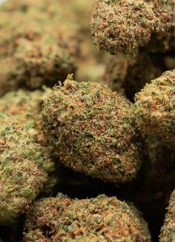 fruity jack buds sachet