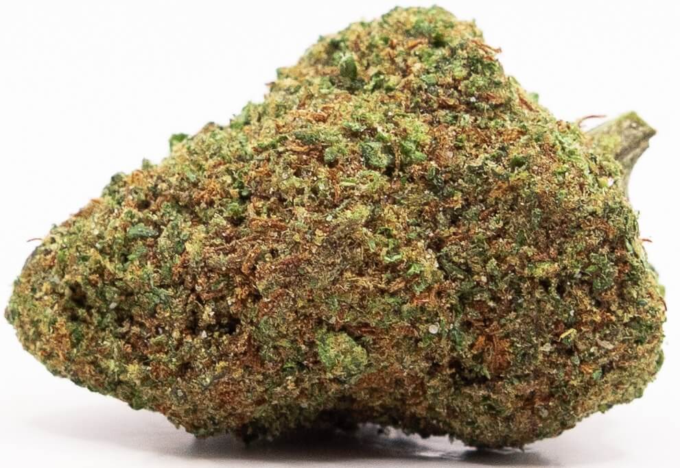 fruity jack buds