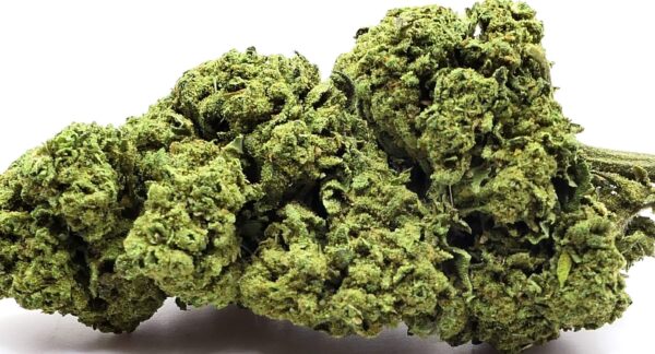 BUBBLEGUM