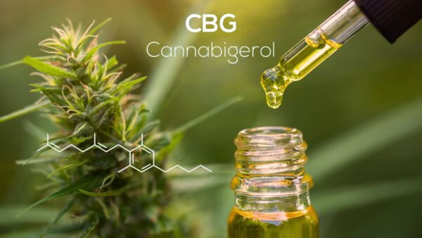 a cbg flower and a pipette of oil with the formula and name cannabigerol