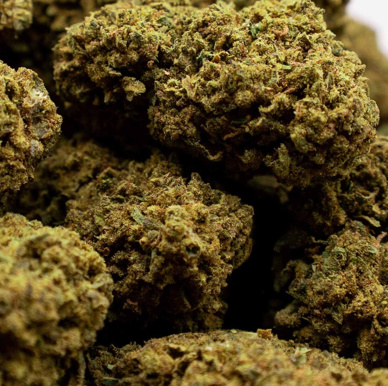 flor de CBD Bubblegum