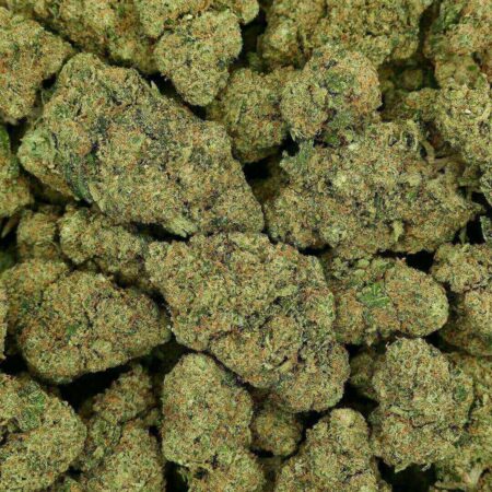 CALI 47 - FLOR - HIDRO