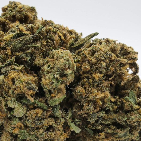 Détail trichomes CBD