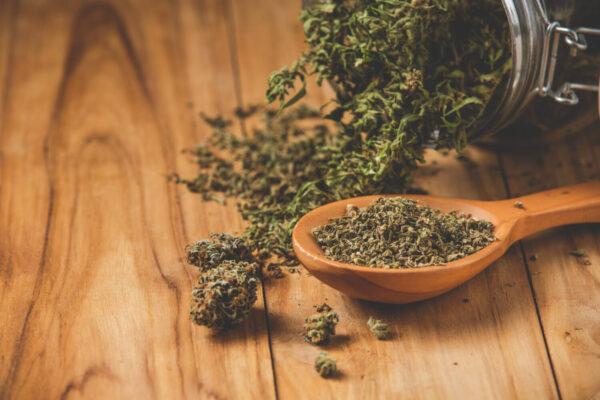 de la trim de CBD dans un cuillère sur une table