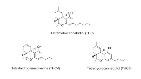 Diagrama comparativo das estruturas moleculares do THC, THCV e THCB