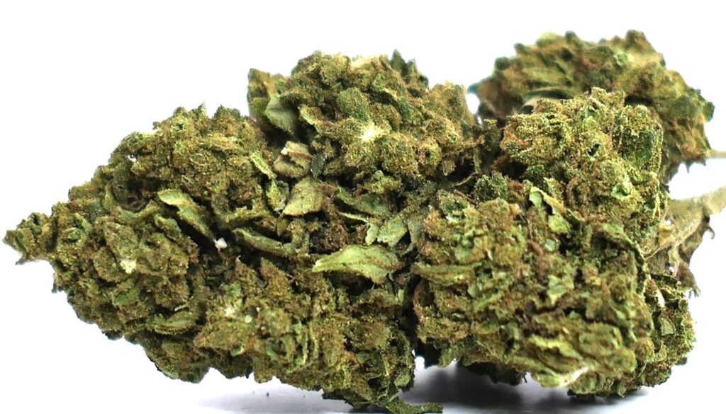 Fleur OG KUSH CBD Indoor