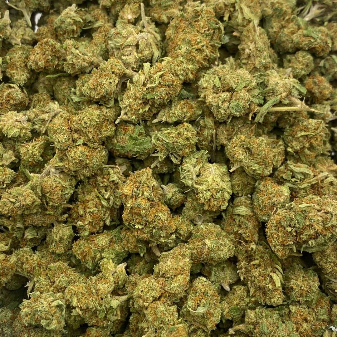 Fleur cbd Small bud ORANGE KUSH indoor