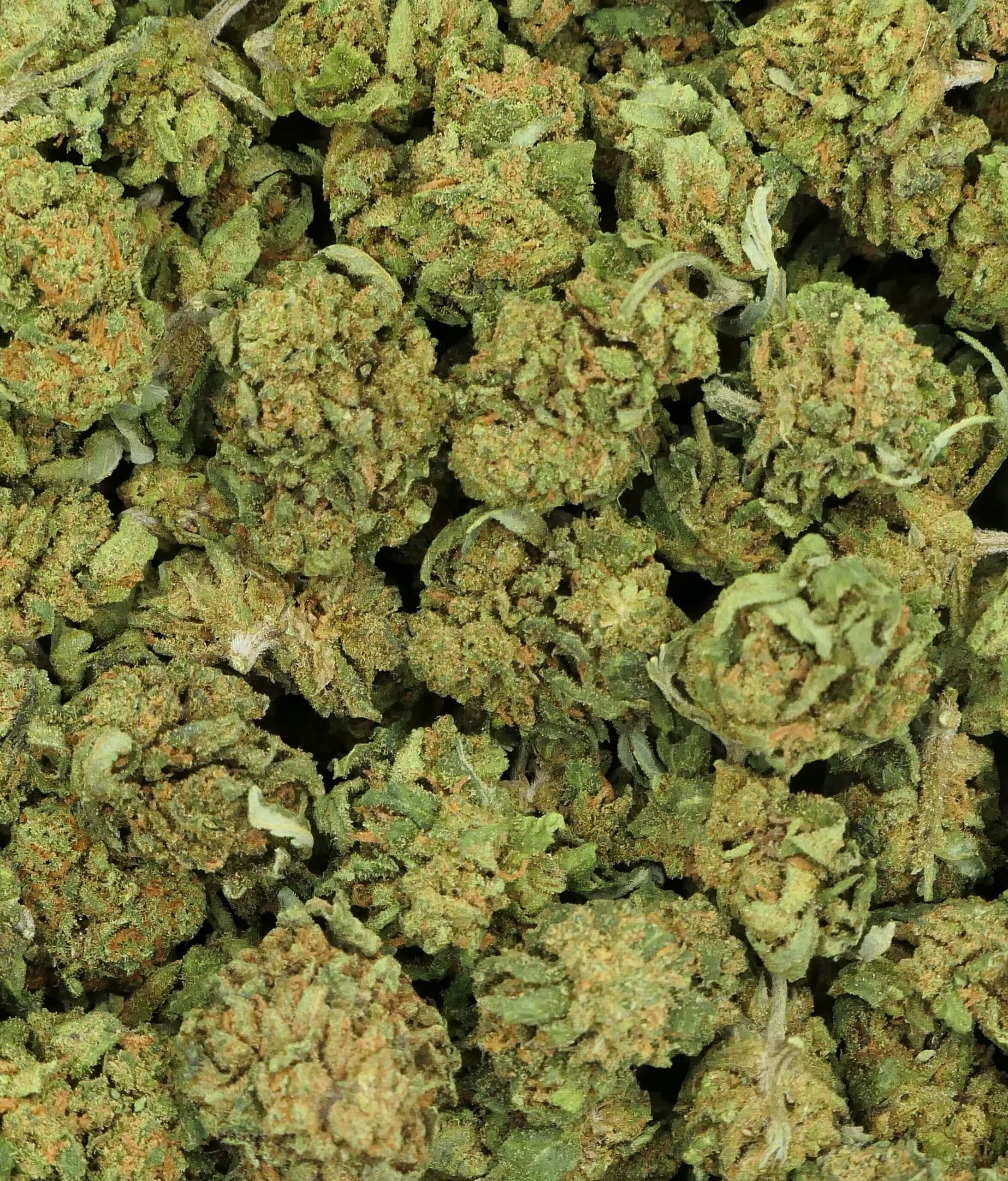 Fleur cbd Small bud BERRIES indoor