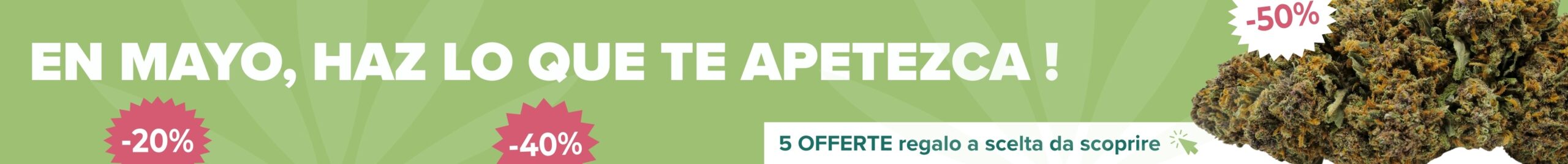 oferta regalo cbd