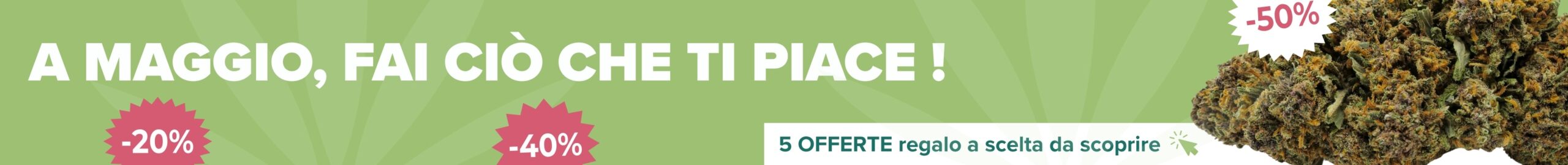 offerta regalo cbd