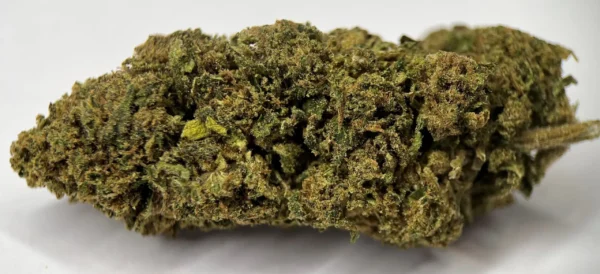 cbd-Blüte Amnesia-Haze-