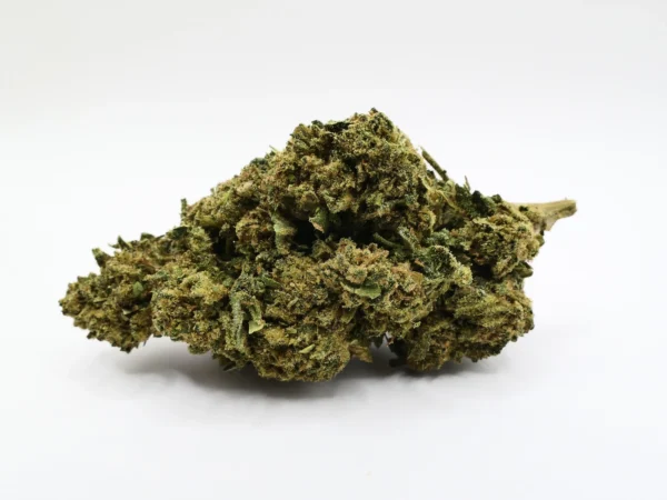 cbd-Blume G13-Haze
