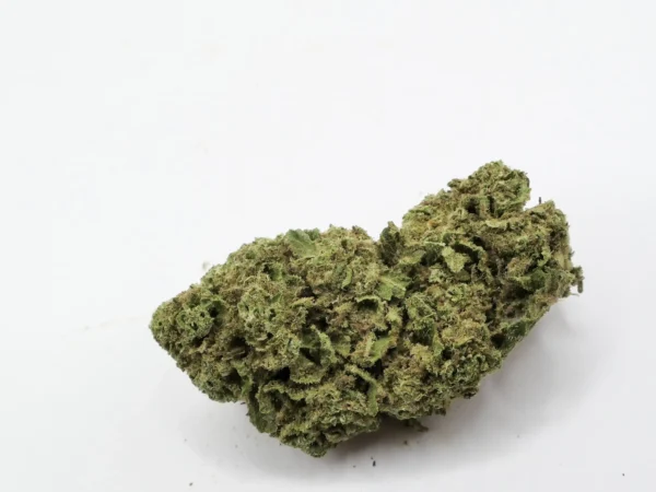 cbd-Blume Northern-Light