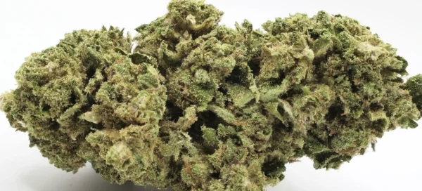 cbd-Blüte Pineapple
