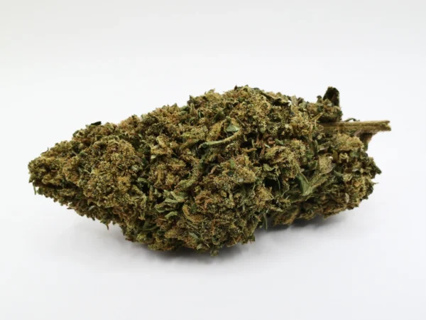 cbd-Blume Super Royal Haze