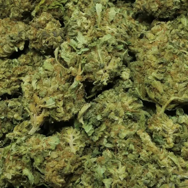 CBD-Blüte Lemon Haze