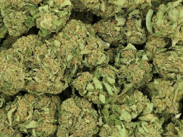 BLUE SHERBET