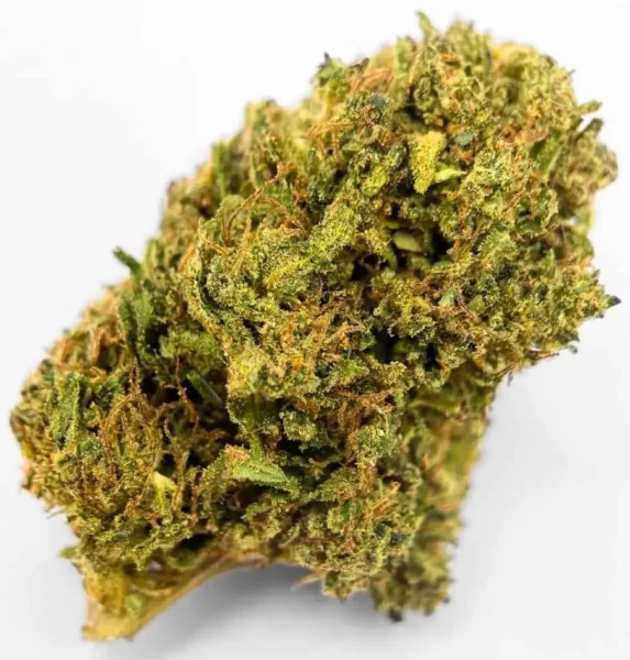 exemple de fleur sativa