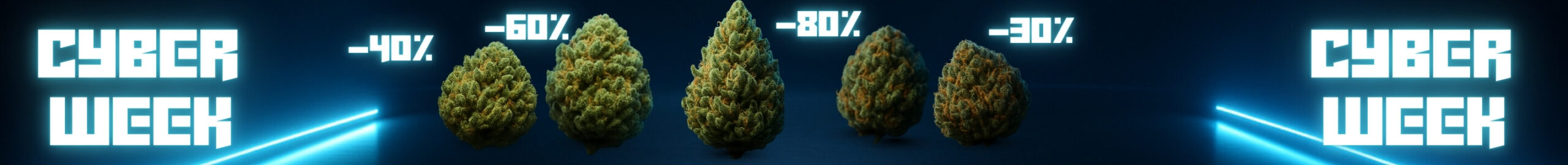 cyber week - maxi promos