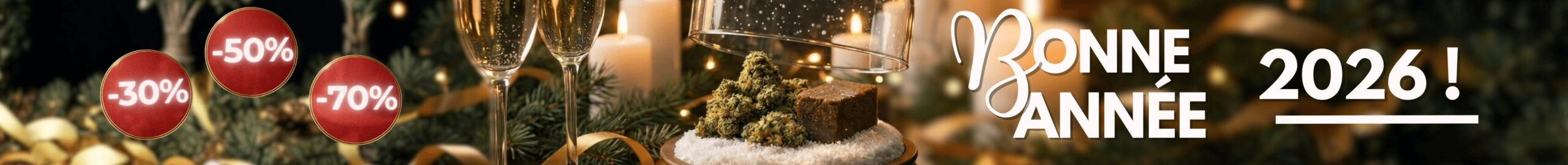 promo nouvelle année