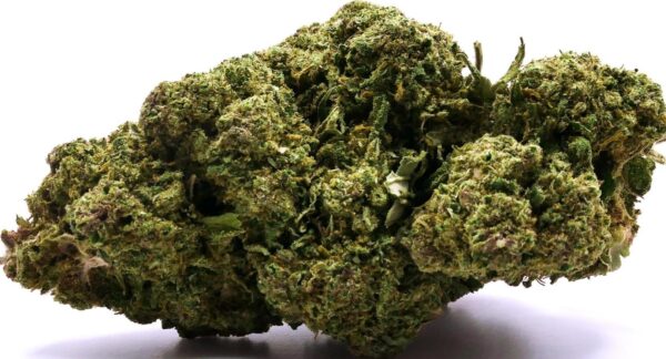 SEED WEED
