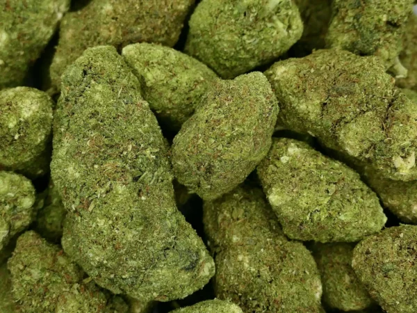 fleur de King Frozen hydroponique