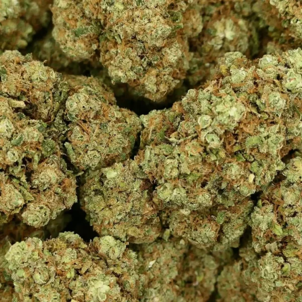 fleur de skywalker OG hydroponique