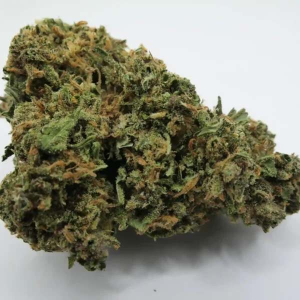 Une fleur d'orange kush CBD premium