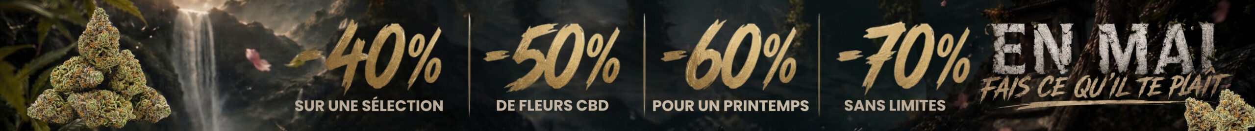 unlimited offer