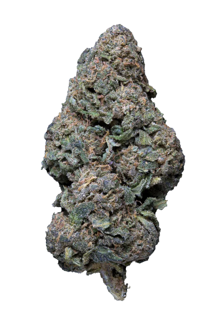 Pineapple weneed