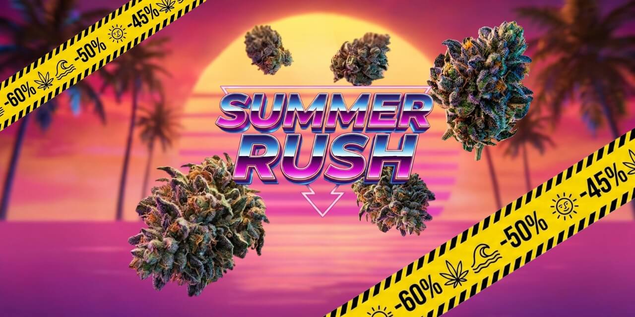 RUSH
