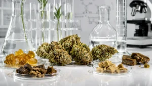 H4CBD, THCP, HHCPO - pourquoi nous avons arrêté