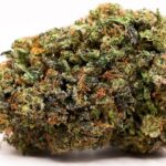 bubba kush