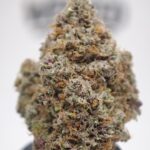 Bangkok Blaze Big Bud