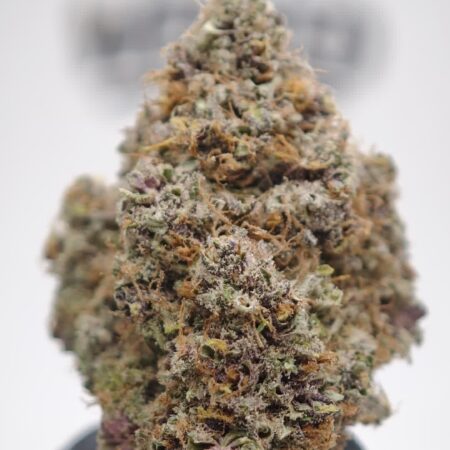 Bangkok Blaze Big Bud