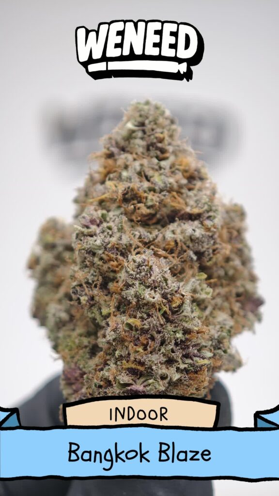 Bangkok Blaze Big Bud