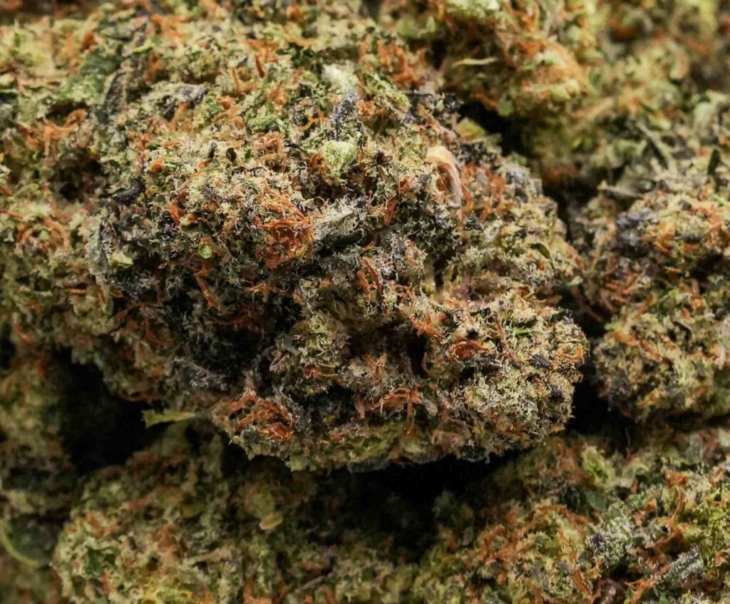 Bubba kush