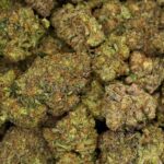 Bubba kush