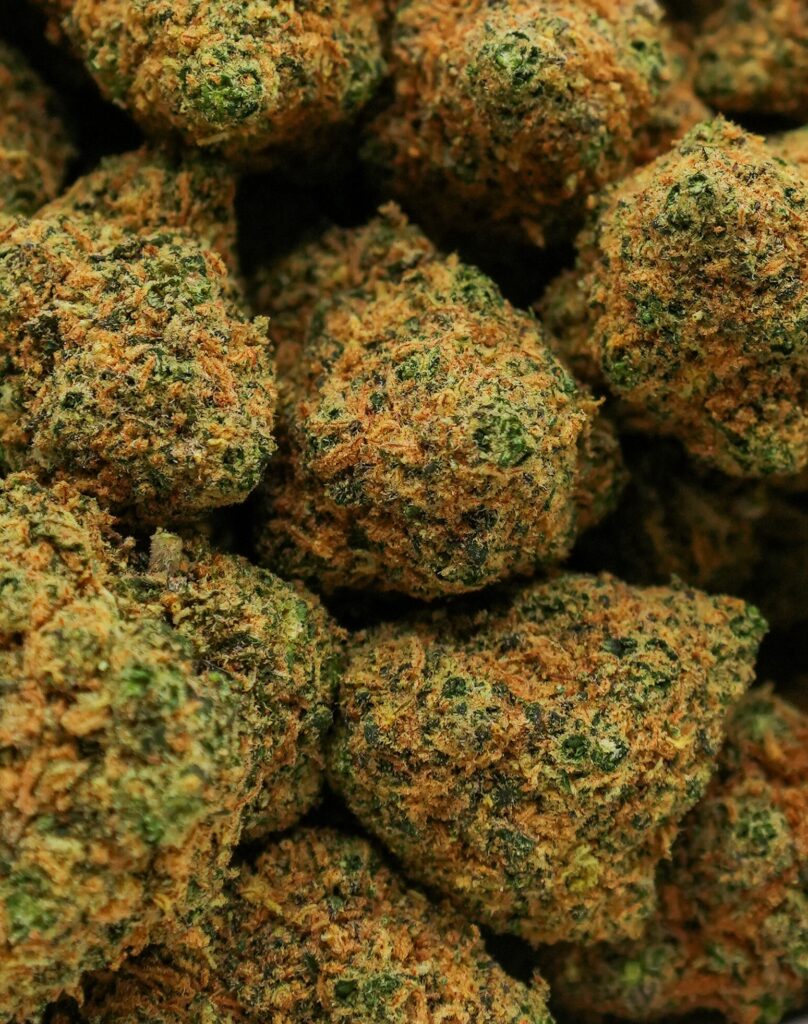 California Dream Buds