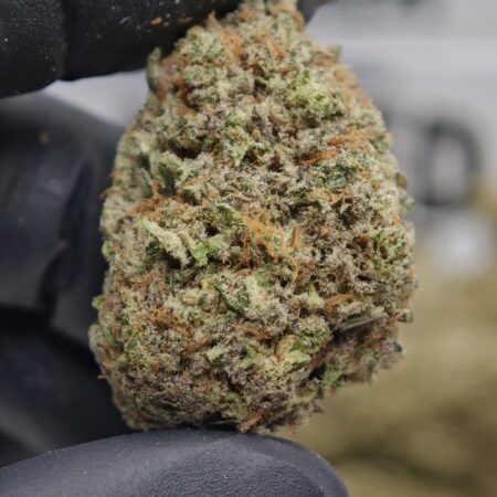 Godfather und Bud
