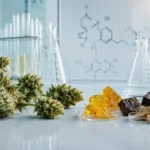 H4CBD, THCP, HHCPO - pourquoi nous avons arrêté