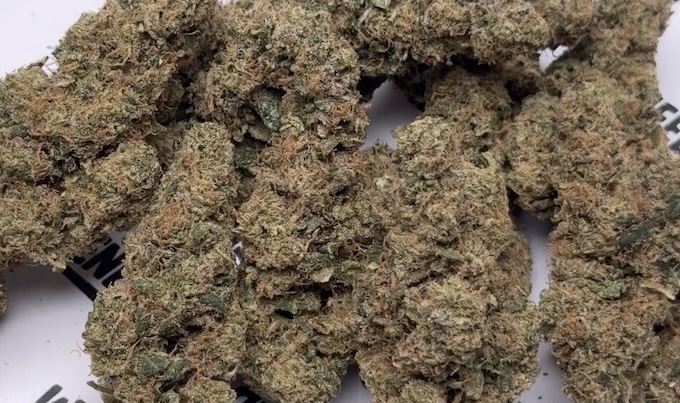 Apfelmus-Knospen