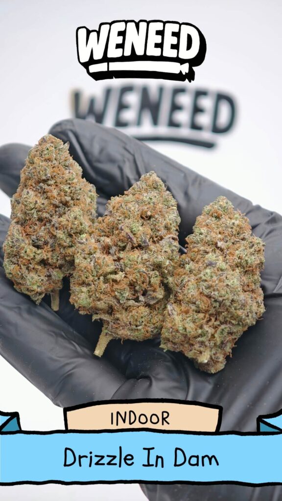 chuvisco em Dam Buds