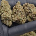 god father og fleur aaaa+