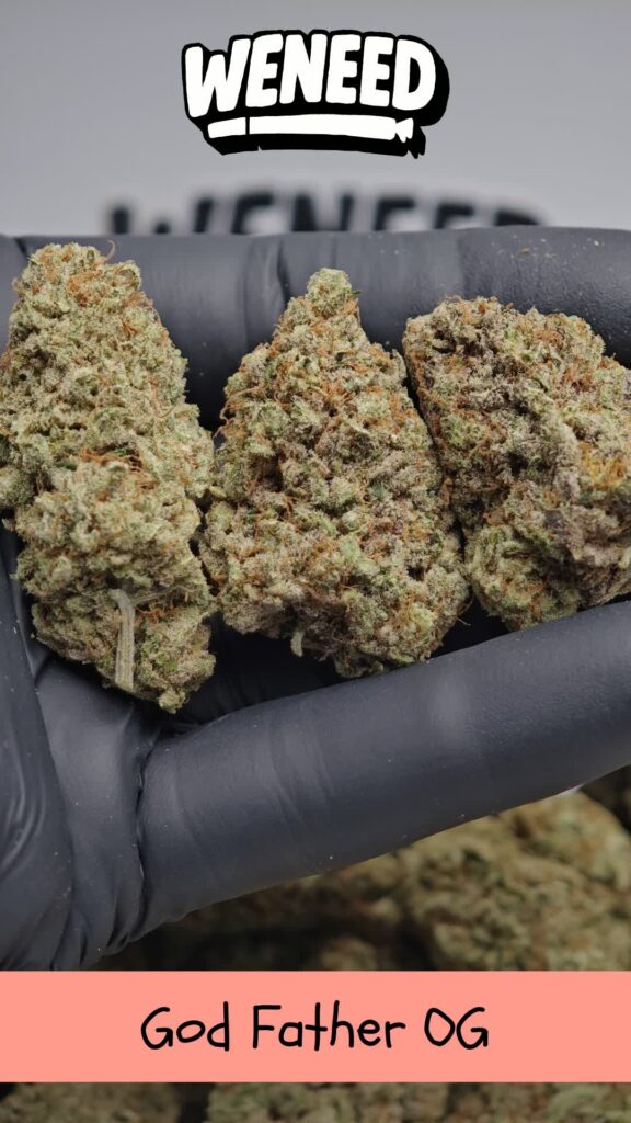 god father og fleur aaaa+