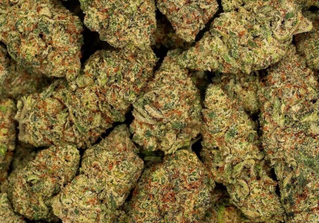 Kryptonite USA