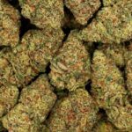 Kryptonite USA