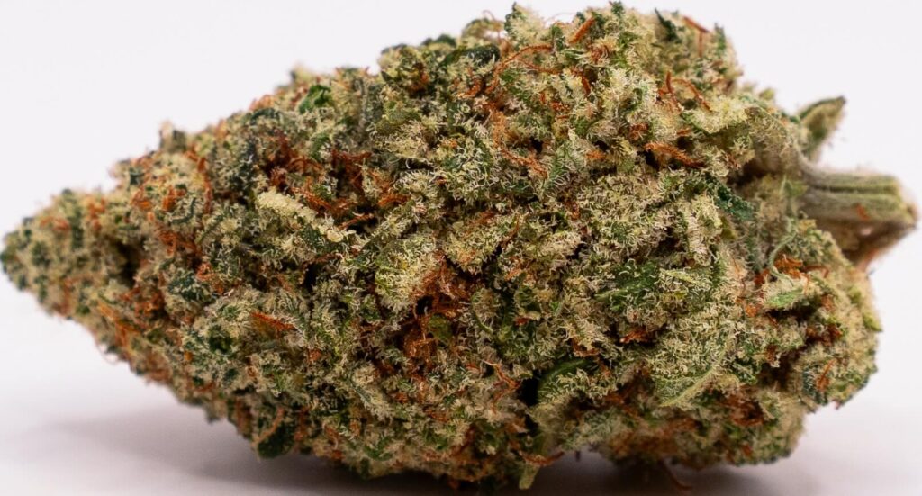 kriptonite usa bud